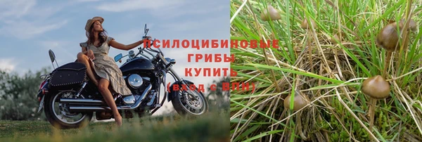 не бодяженный Заволжск