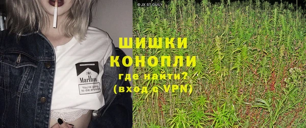 2c-b Заводоуковск